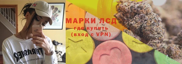 стафф Михайловск