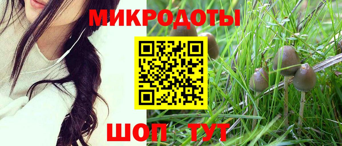продажа наркотиков  Туймазы  Галлюциногенные грибы Psilocybe  Галлюциногенные грибы GOLDEN TEACHER 